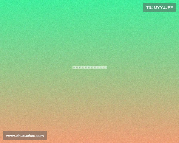 体育赛事赞助创新方案助力品牌价值提升与市场拓展