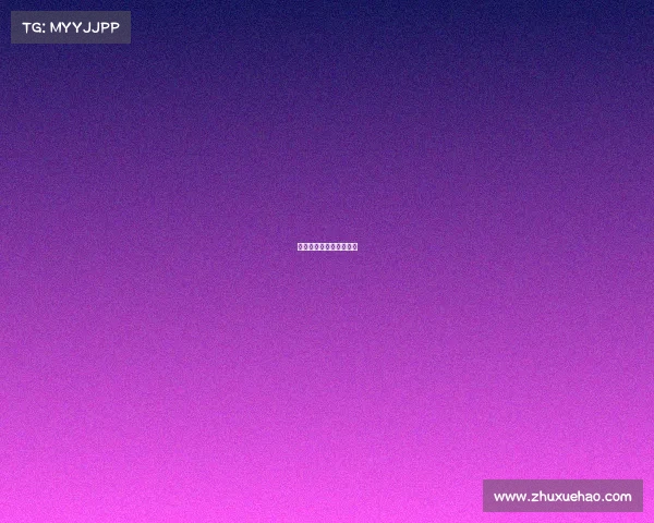 职业拳击比赛叫什么名字